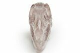 Carved, Banded Fluorite Dinosaur Skull #218479-2